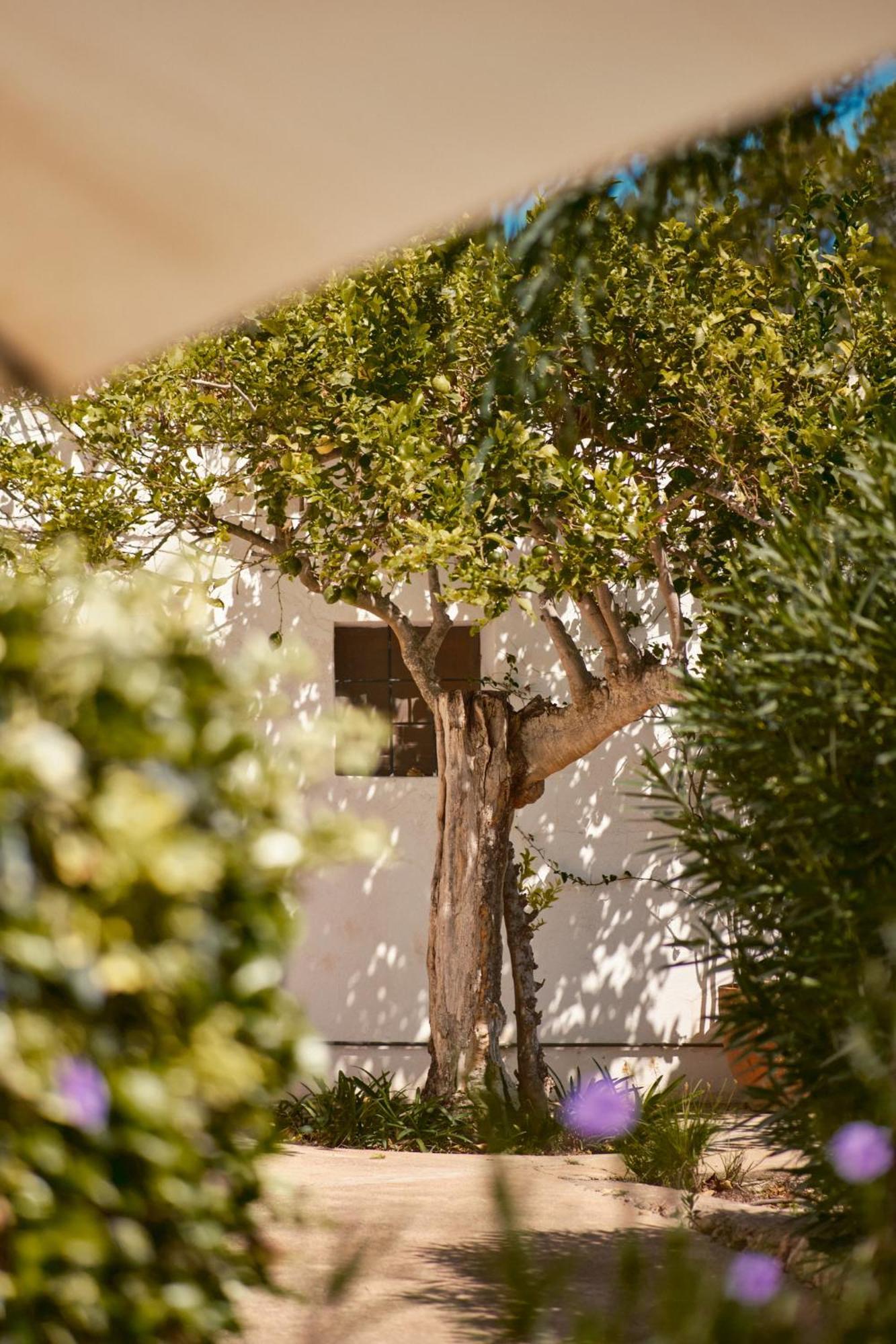 The Guardian House Hotel Santa Gertrudis  Bagian luar foto