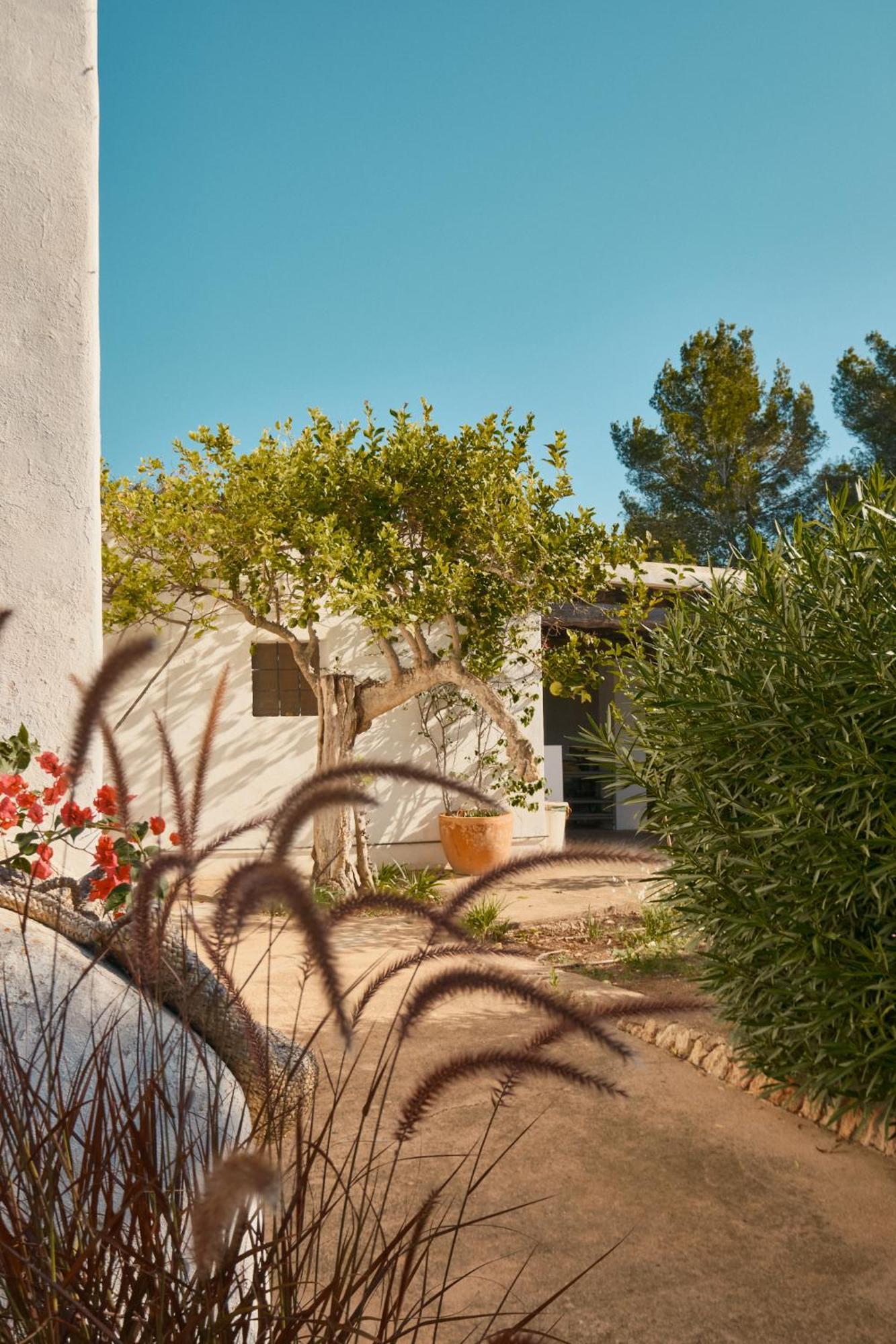 The Guardian House Hotel Santa Gertrudis  Bagian luar foto